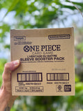 FR - CASE DE 24 BLISTERS ONE PIECE - OP12