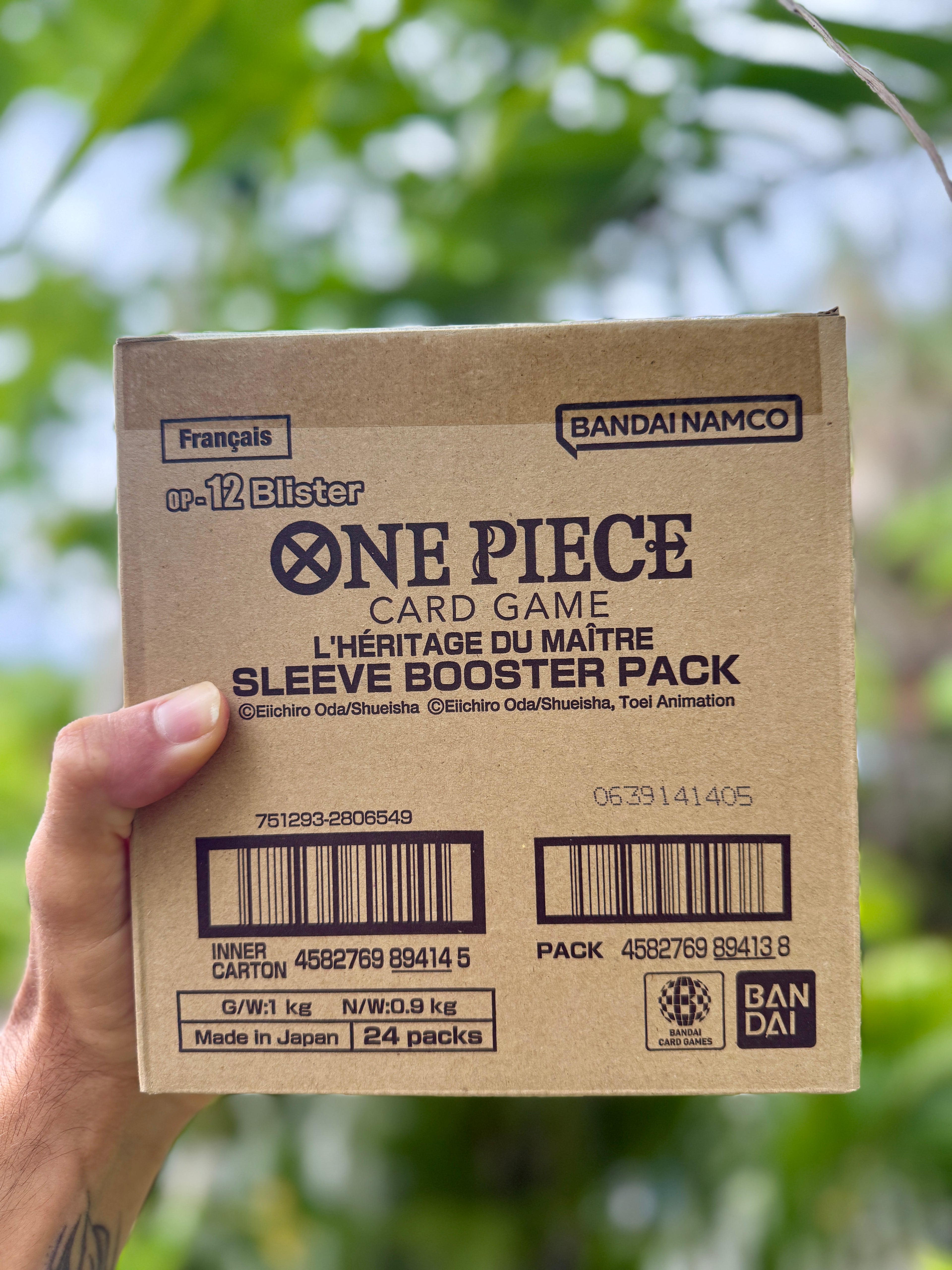 FR - CASE DE 24 BLISTERS ONE PIECE - OP12