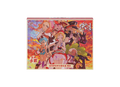 POKEMON -COFFRET PROTEGES CARTES NACCHARA - CSOH2